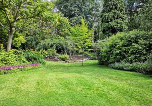 Optimiser l'expérience du jardin à Rosenau