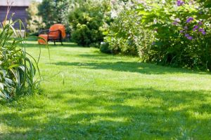 travaux jardin et paysage Rosenau